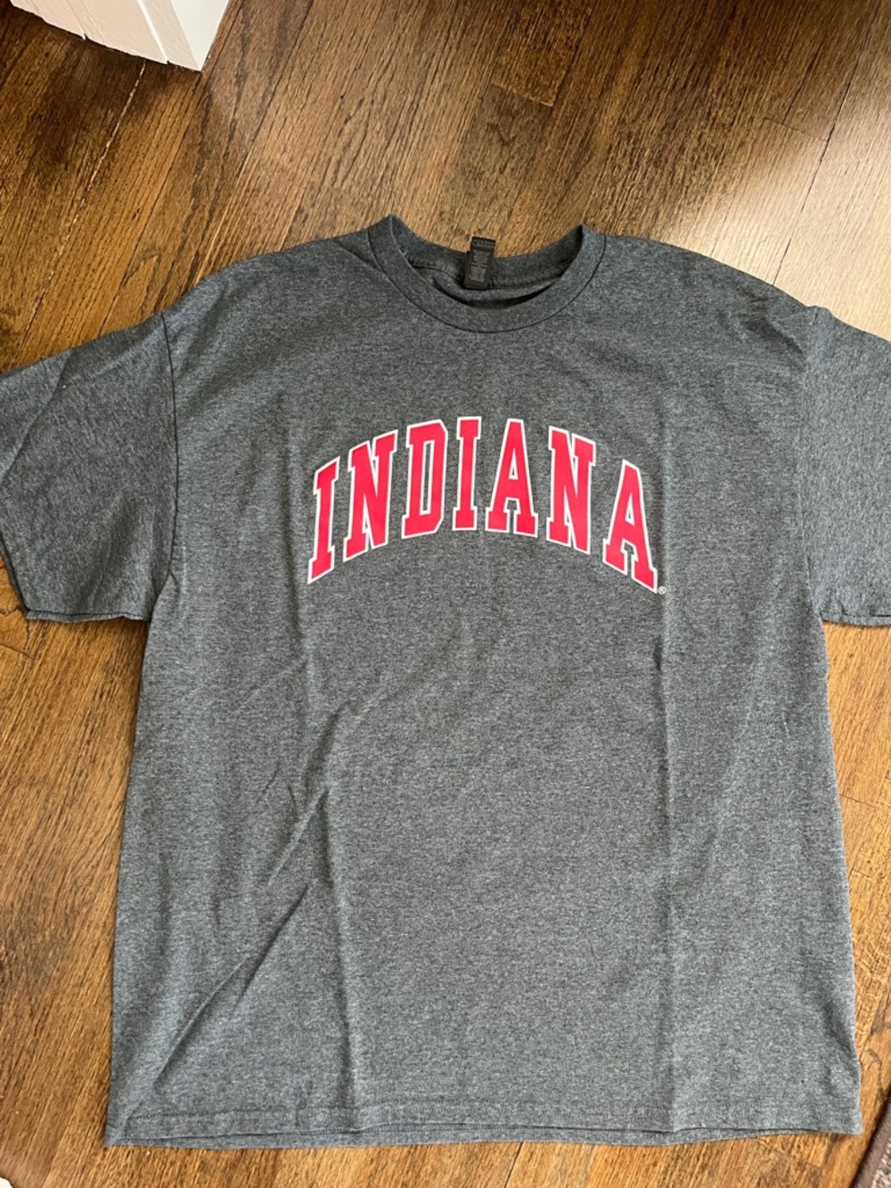 Gildan Men's Charcoal Gray Tee with Red INDIANA Text